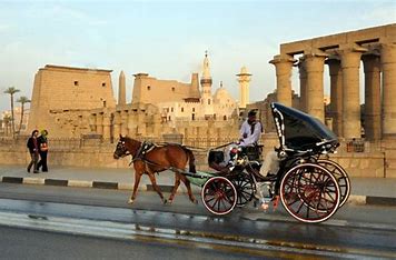 Luxor-City-tour-by-Horse-Carriage-2